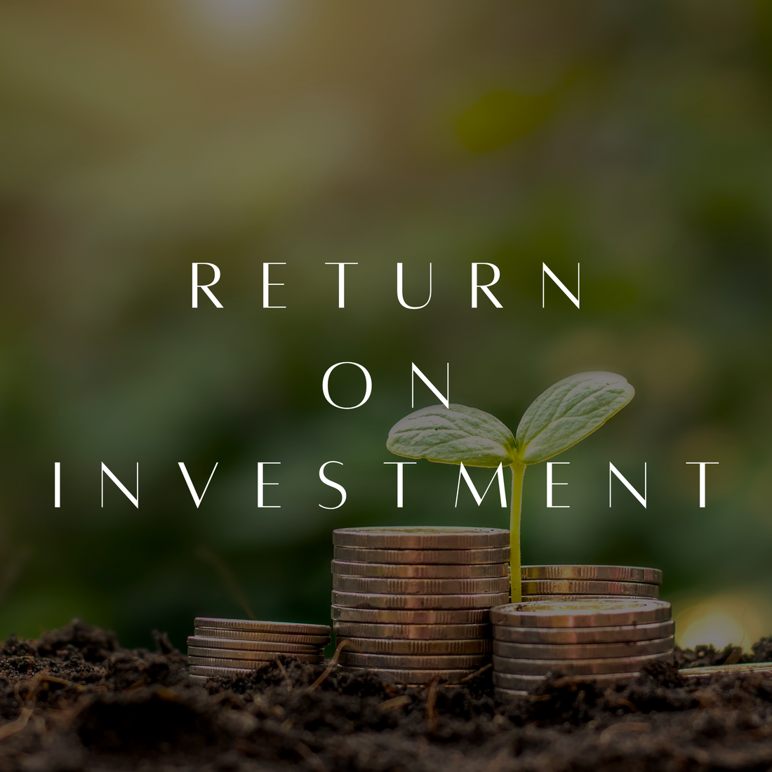 Highest Return on Investment (ROI)