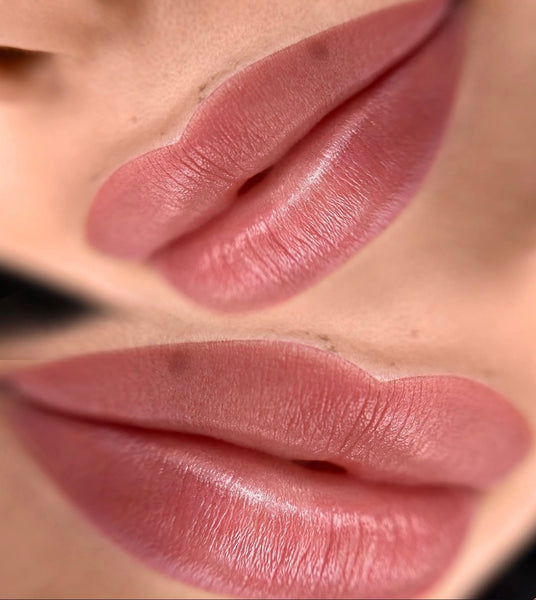 Beginner Lip Blush PMU 2-Day Training