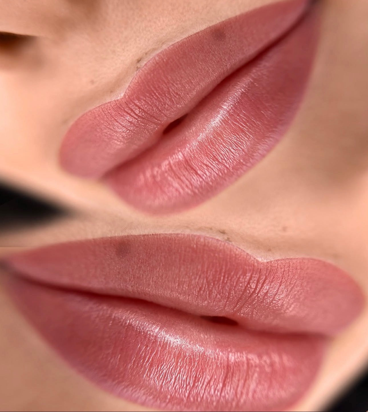 Beginner Lip Blush PMU 2-Day Training